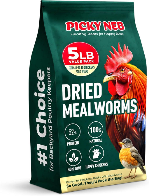 5 lbs Mealworms