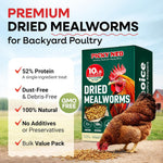 10 lbs Dried Mealworms