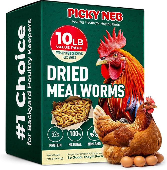 10 lbs Dried Mealworms
