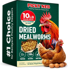 10 lbs Dried Mealworms