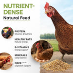 5 lbs Mealworms
