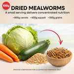 10 lbs Dried Mealworms