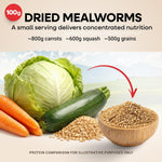 5 lbs Mealworms