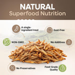 10 lbs Dried Mealworms