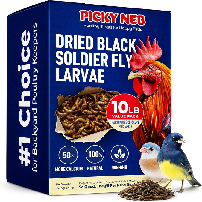 10 lb Dried Black Soldier Fly Larvae