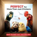 5 lbs Mealworms