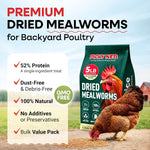5 lbs Mealworms