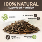 10 lb Dried Black Soldier Fly Larvae