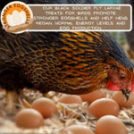 Bundle 4 - 5 lb Mealworms + 10 lb BSFL - Picky Neb Inc