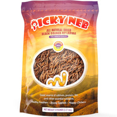 5 lb Premium BSFL – Calcium-Rich Treat for Chickens & Wild Birds