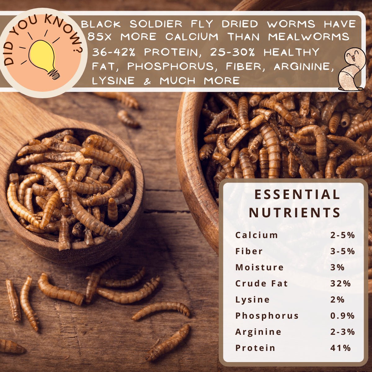 Picky Neb Dried Black Soldier Fly Larvae 2 lb