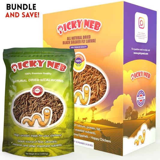 Picky Neb dried mealworms 5 lbs and black soldier fly larvae 10 lbs combo – high protein and calcium treats for chickens and birds.