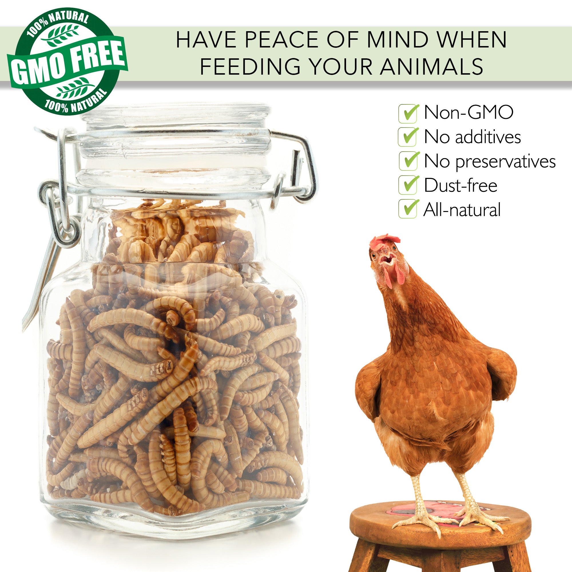Picky Neb dried mealworms in glass jar – non-GMO, natural, high-protein treat for chickens and wild birds