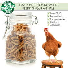 Picky Neb 100% Non - GMO Dried Mealworms 🐛 5 lb - Picky Neb Inc