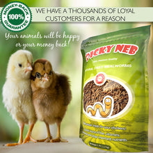 Picky Neb 100% Non - GMO Dried Mealworms 🐛 5 lb - Picky Neb Inc