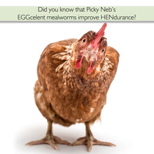 Picky Neb 100% Non - GMO Dried Mealworms 🐛 5 lb - Picky Neb Inc