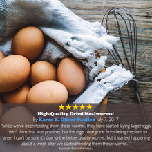 Picky Neb 100% Non - GMO Dried Mealworms 🐛 5 lb - Picky Neb Inc