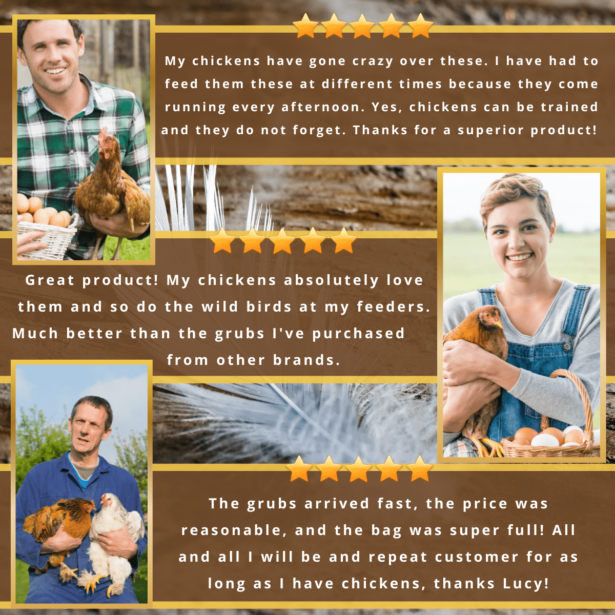 Happy customers feeding Picky Neb BSFL to chickens and wild birds – top-rated calcium and protein-rich treat.