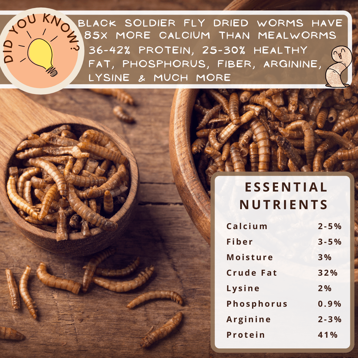Picky Neb dried black soldier fly larvae in wooden bowls – high in calcium, protein, and essential nutrients for chickens and wild birds.