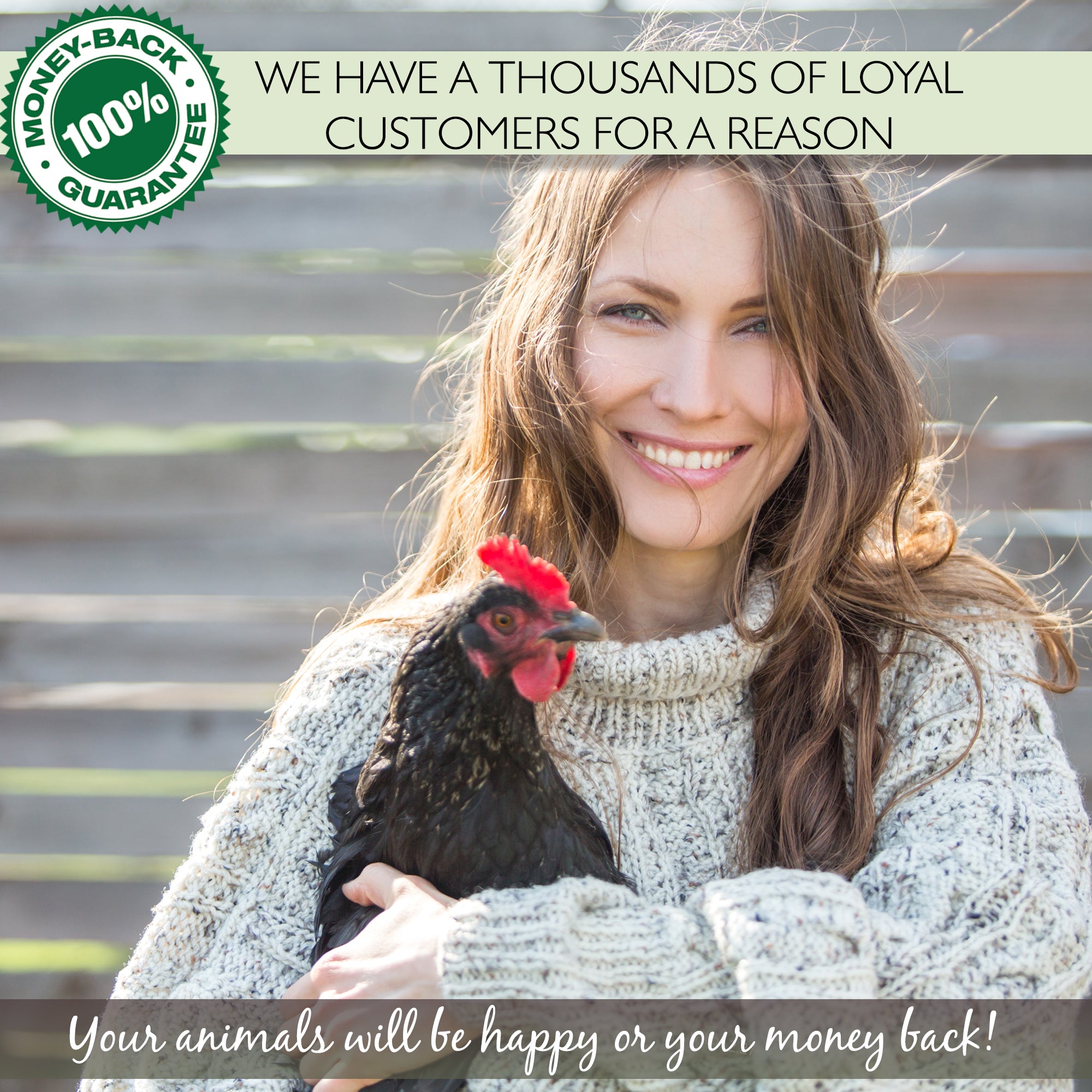 Smiling woman with chicken – Picky Neb dried mealworms guaranteed to satisfy your flock or your money back